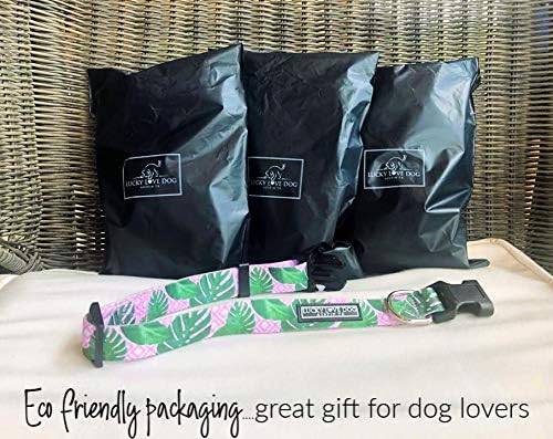 Lucky Love Dog Collars | Girl, boy Dog Collar for Small Medium Large Dogs - Comfortable, Soft, Cute - Laguna, Medium