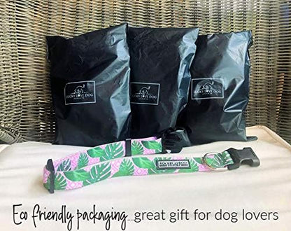 Lucky Love Dog Collars | Girl, boy Dog Collar for Small Medium Large Dogs - Comfortable, Soft, Cute - Laguna, Medium