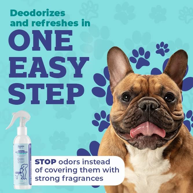 Pets Pet Deodorant & Odor Neutralizer w/Oat & Aloe | Naturally Derived Quick-Drying Deodorizer Spray for Dogs | Safe on Carpets & Furniture | Pet-Safe & Hypoallergenic | Baby Powder Scent