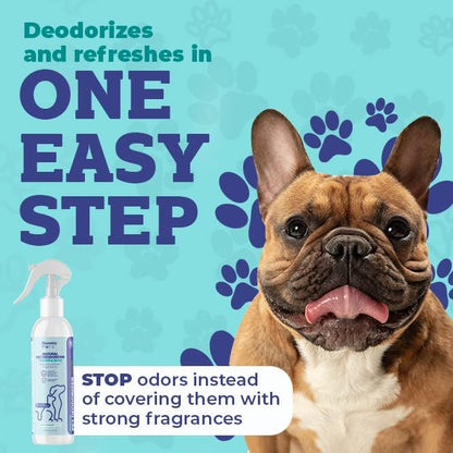 Pets Pet Deodorant & Odor Neutralizer w/Oat & Aloe | Naturally Derived Quick-Drying Deodorizer Spray for Dogs | Safe on Carpets & Furniture | Pet-Safe & Hypoallergenic | Baby Powder Scent