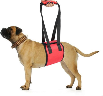 Dog Lift Support Harness with Handle for Injured Pets S Sling for Recovery Rehabilitation and Support for Weak Rear Legs Dogs