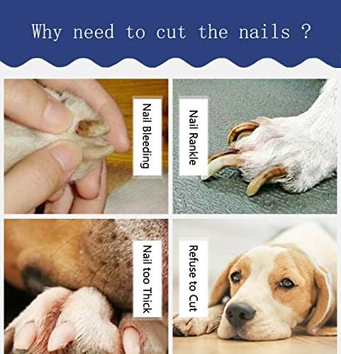 Dog & Cat Nail Clippers and Trimmer,Professional Pet Nail Clippers with Safety Guard to Avoid Over-Cutting, Sharp Blades Non Slip Handles,Free Nail File and Glove for Grooming (Pink)