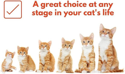 Bench & Field Holistic Natural Premium Adult Dry Cat Food, Chicken Meal and Brown Rice Recipe 3 lb Bags (Pack of 3)