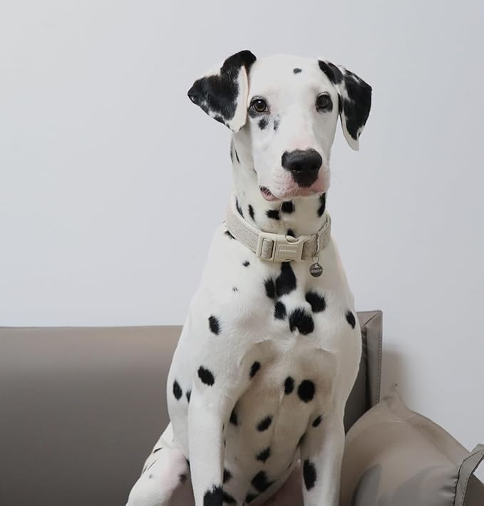 DOGWONG Cotton Hemp Dog Collar, Heavy-Duty Khaki Dog Collar Adjustable Soft Natural Fabric Pet Cute Wedding Puppy Necklace for Small Dogs"