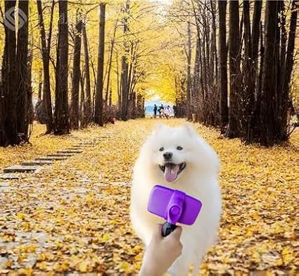 Self Cleaning Slicker Brushes for Pets,Dog Brush for grooming,Massaging Tool Suitable for Dog or Cat,Dog Brush or Cat Brush. (Purple)