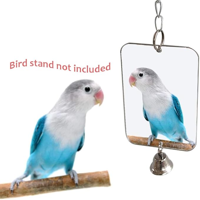 Acrylic Bird Mirror for Small Birds, Parrot Cage Toys 1PC (4.72" x 3.14") – Clear Unbreakable Hanging Mirror Cage Accessory for Parakeet, Cockatiel, Conure, Lovebirds, Budgies