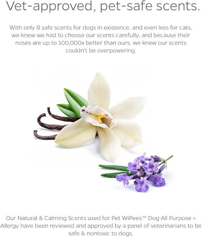 Pet Parents® Pet WiPees Dog All Purpose + Allergy Dog Wipes, Pet Wipes for Dogs, Puppy Wipes & Paw Wipes, Large Dog Wipes (100 Count (Pack of 4), Natural)