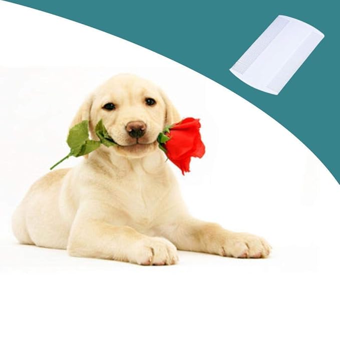 White Double Sided Double-Sided Detection Removes Head Nit Fine Tooth Head Lice Hair Combs Dog Combs For Kids Pet dog Flea Plastic Hair Nit Combs