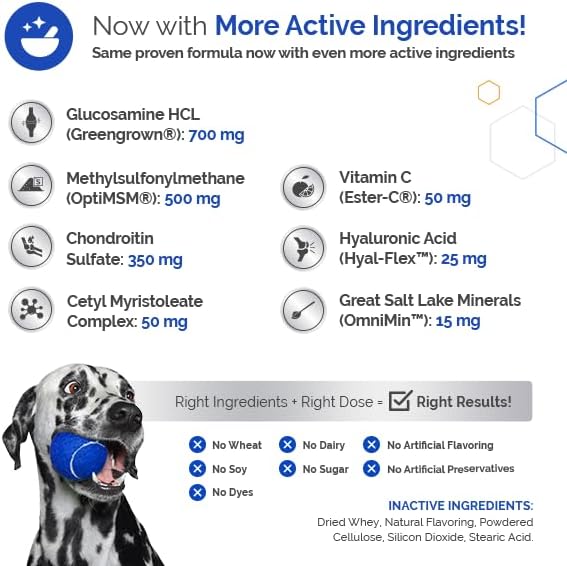 TopDog Health GlycanAid HA Advanced Joint Nutrition for Dogs (60 Chewable Tablets) Made in USA with USA Ingredients: Glucosamine HCL, Chondroitin, Hyaluronic Acid, MSM