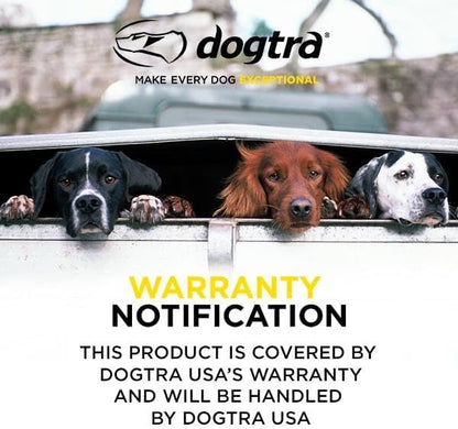 Dogtra iQ Mini Rechargeable Waterproof Mini Dog Training E-Collar with Water-Resistant Remote