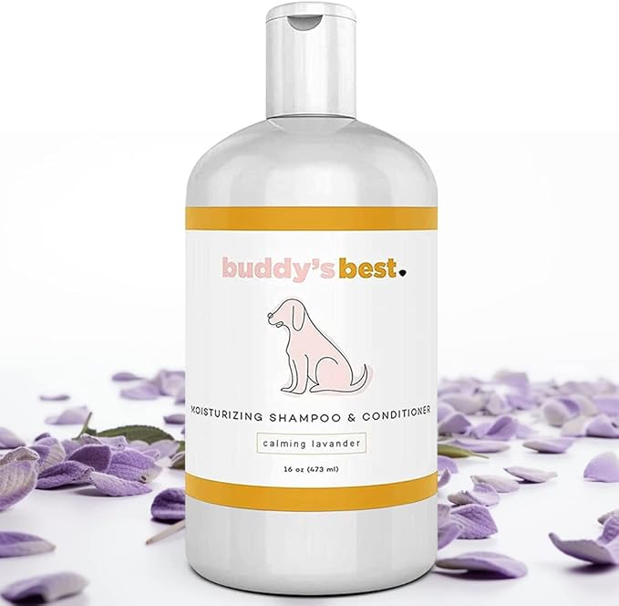 Buddy's Best Dog Shampoo for Smelly Dogs - Skin-Friendly, Oatmeal Dog Shampoo and Conditioner for Dry and Sensitive Skin - Moisturizing Puppy Wash Shampoo, Calming Lavender Scent, 16oz