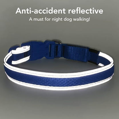 BSEEN Light Up Dog Collars - Reflective LED Dog Collar, Rechargeable Puppy Collar for Small Dogs, Glow in The Dark Dog Camping Gear, Flashing Dog Lights for Night Walking (Small, Blue)