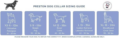 Heavy Duty Adjustable Dog Collar or Dog Leash - Ideal Dog Collars and Leashes Come in Multiple Sizes for All Pets. Preppy Green Whales on Navy (X-Small Collar, 3/4 inch Wide)