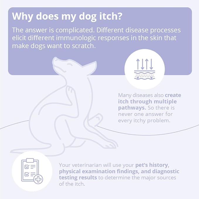 4 Shampoo for Dogs, Cats and Horses, Gallon