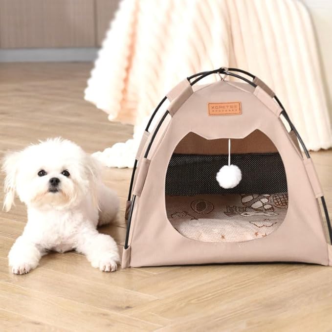 Cute Cat Teepee Cave, Cat Tent Foldable Indoor Outdoor with Thick Mat,Puppy Bed Tent,Bunny Pet Tent Teepee,Portable Dog House Teepee Tent, Cat Bed,Dog Bed Tent,Puppy Bunny,Pet Tent Teepee (Q, M)