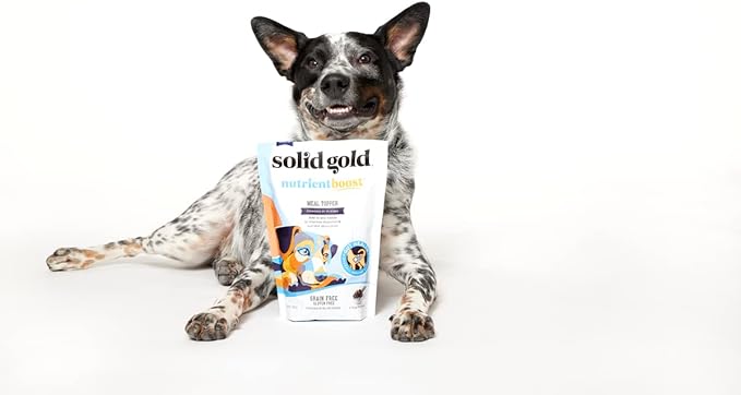 Solid Gold NutrientBoost Meal Topper for Dogs - Plasma Infused Dog Food Topper & Treats - Gut Health & Immune System Support - Grain Free Additive with Vitamins, Minerals, Protein & Amino Acids - 1 Lb