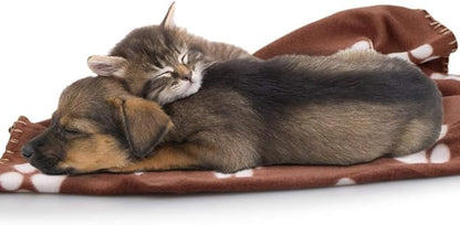 Comsmart Dog Blankets for Small Dogs, 6 Pack Puppy Blanket Cute Paw Print Pet Blanket for Dog, Puppy, Cat, Kitten, 24x28 inches, Brown