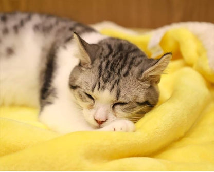 furrybaby Dog Blankets for Medium Dogs & Cats for Couch, Reversible Flannel Blankets for Pets 32x40 Inch, Cat Blankets for Indoor Cats Washable (White)