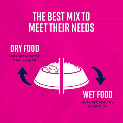 Eukanuba Premium Performance 30/20 Sport Dry Dog Food, 4.5 lb