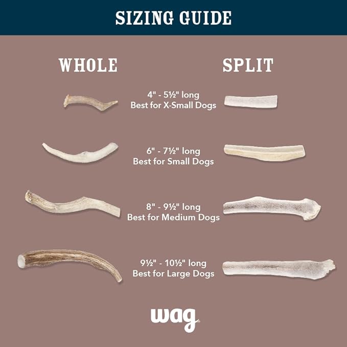 Amazon Brand  Wag Split Elk Antler, Naturally Shed, Small (Best for Dogs under 15 lbs)
