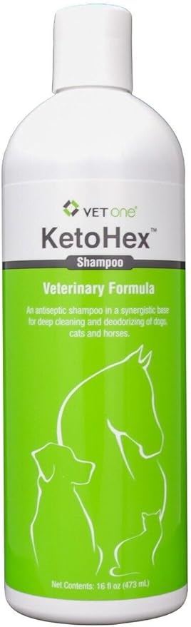 KetoHex Cat and Dog Shampoo - 16 oz Anti Bacterial Cat & Dog Flea And Tick Treatment, For Sensitive Skin Infections & Lesions, Protects & Moisturizes, Antifungal Treatment For Dogs & Cats - VetOne