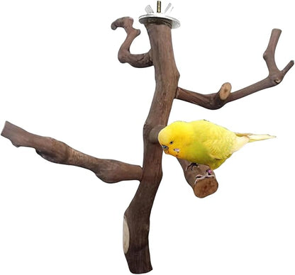 Bird Perch Stand Natural Parrot Perch for Cage Parakeet Climbing Platform Branches Swing Toy Cage Accessories for Cockatiels Lovebird Finches Canaries Budgie