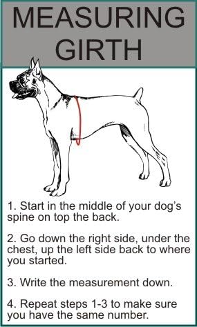 Doggie Stylz Service Dog DO NOT PET Nylon Harness No Pull IDC Guide Assistance. Comes with 2 Reflective Service Dog DO NOT PET Removable Patches. Please Measure Your Dog Before Ordering