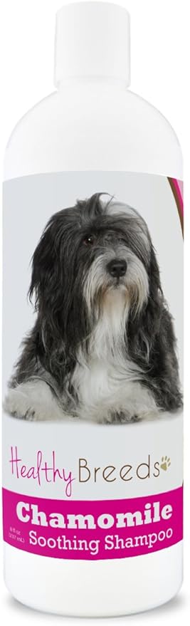 Healthy Breeds Chamomile Dog Shampoo & Conditioner with Oatmeal & Aloe for Lhasa Apso - OVER 200 BREEDS - 8 oz - Gentle for Dry Itchy Skin - Safe with Flea and Tick Topicals