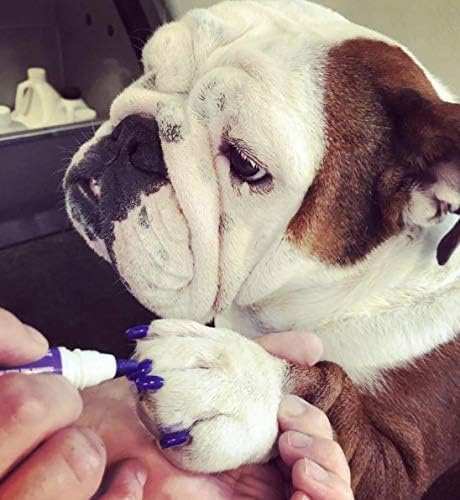Warren London Pawdicure Dog Nail Polish Pens | Made in USA | Quick Dry, Low Odor, Non-Toxic Dog Accessories | Ideal for Dog Birthday, Dog Costume | 13 Colors | Purple