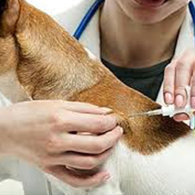 1.25x7mm, 20 Packs Yanzeo Pet Microchip 134.2khz FDX-B/ISO11784/ISO11784 Animal Implant Chip Pet ID Microchip for Dog Cat Sheep Cow Pig Pigeon Fish Rabbit