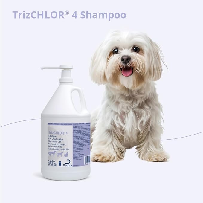 4 Shampoo for Dogs, Cats and Horses, Gallon