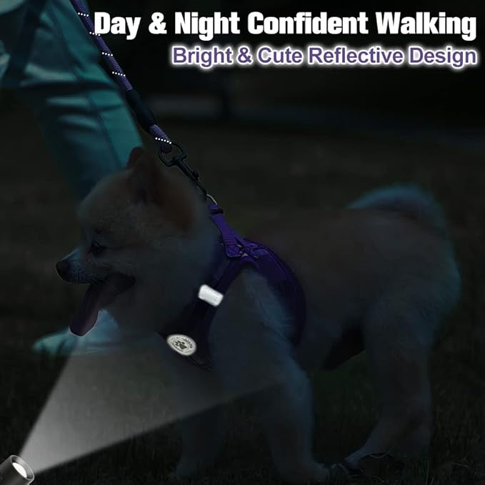 BEAUTYZOO Small Dog Harness and Leash Set,Step in No Chock No Pull Soft Mesh Dog Harnesses Reflective for Extra-Small/Small Medium Puppy Dogs and Cats, Plaid Dog Vest Harness for XS S Pets, Purple XS