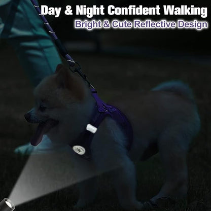BEAUTYZOO Small Dog Harness and Leash Set,Step in No Chock No Pull Soft Mesh Dog Harnesses Reflective for Extra-Small/Small Medium Puppy Dogs and Cats, Plaid Dog Vest Harness for XS S Pets, Purple XXS