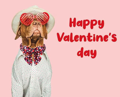 Unique Style Paws Valentine's Day Dog Collar with Bow Colorful Heart Love Dog Collars for Small Medium Large Dog New (S, Black Bowtie)