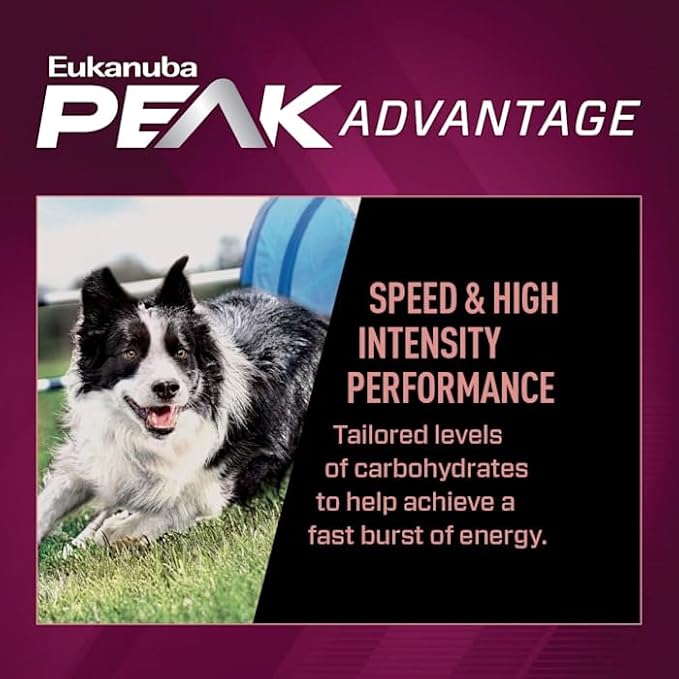 Eukanuba Premium Performance 21/13 Sprint Adult Dry Dog Food, 4.5 lb. Bag