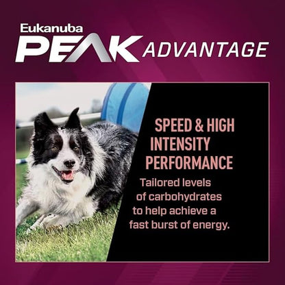 Eukanuba Premium Performance 21/13 Sprint Adult Dry Dog Food, 4.5 lb. Bag