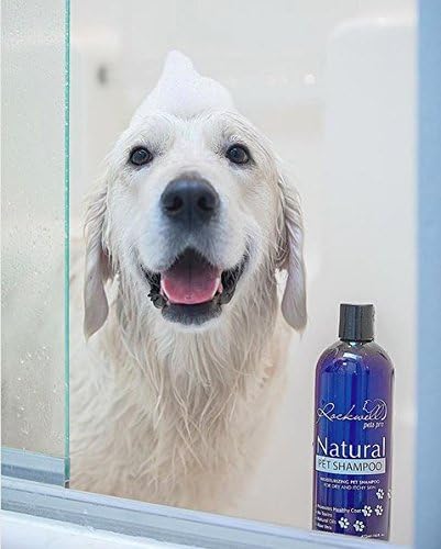 Dog Shampoo for Dry and Itchy Skin Made in The USA by Rockwell Pets Pro (16 fl oz) ideal paw cleaner for dogs with Aloe Vera Argan Oil Natural Willow Meadowsweet Chaparral and Olive Extracts