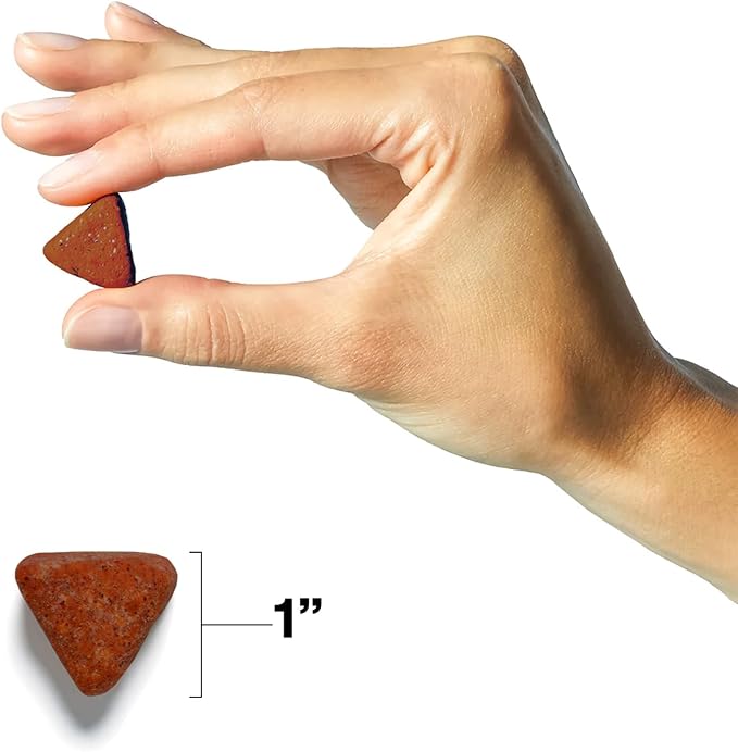 Wild Earth Dog Supplements, Soft Chews for Skin & Coat, Rich in Antioxidants, Omega 3 & 6 Fatty Acids, Allergy & Itch Relief, Supports Normal Shedding, Veterinarian-Developed, Vegan