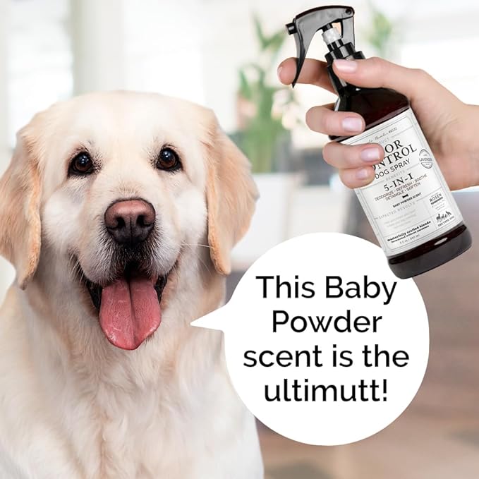 5-in-1 Dog & Pet Deodorizer Spray, Odor Control & Detangling - Fresh Lavender scent with Oatmeal & Aloe for coat health & shine. Vet-Recommended Grooming Perfume & Hypoallergenic Dog Cologne 8oz 240ml