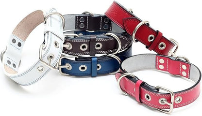 Genuine Leather Dog Collars with Stainless Steel Buckle and Double D Rings Unbreakable! (9"-12", Tan)