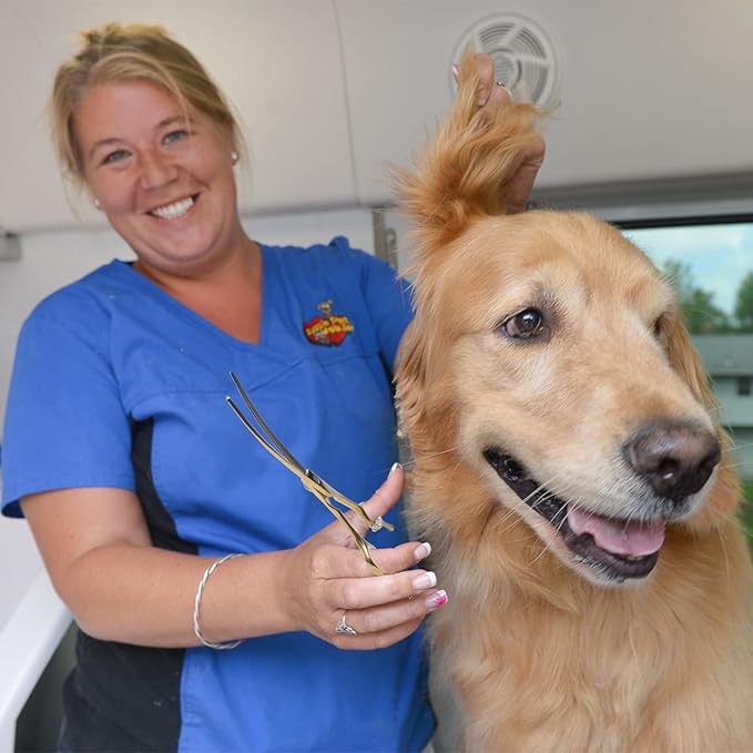 7" Downward Curved Dog Grooming Thinning Scissors for Grooming Face and Paws Safety Shears Trimming Cutting Shears for Dog Cat Pet Grooming Gold