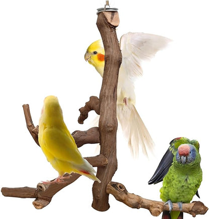 Bird Perch Stand Natural Parrot Perch for Cage Parakeet Climbing Platform Branches Swing Toy Cage Accessories for Cockatiels Lovebird Finches Canaries Budgie