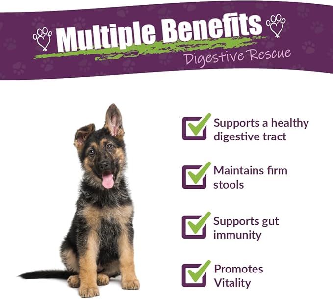 Amber NaturalZ Paxaid Digestive Rescue for Dogs and Puppies | Supports Normal Appetite, Gut Function, and Stool Consistency During Occasional Gastric Discomfort and Dietary Changes