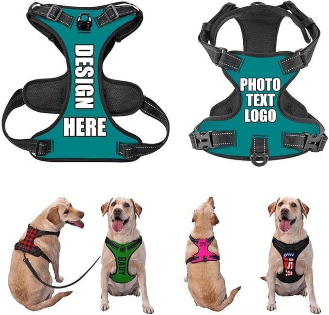 Personalized Dog Vests Customization for Puppy Medium Large Sized Dogs, Customize No Pull Dog Harnesses with Easy and Adjustable Wearing Buckles, Darkcyan, L