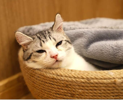 furrybaby Premium Fluffy Fleece Dog Blanket Soft and Warm Reversible Flannel Pet Blanket for Dogs 24x32inch Washable Indoor Cats Blankets for Cozy Comfy Nap(Grey)