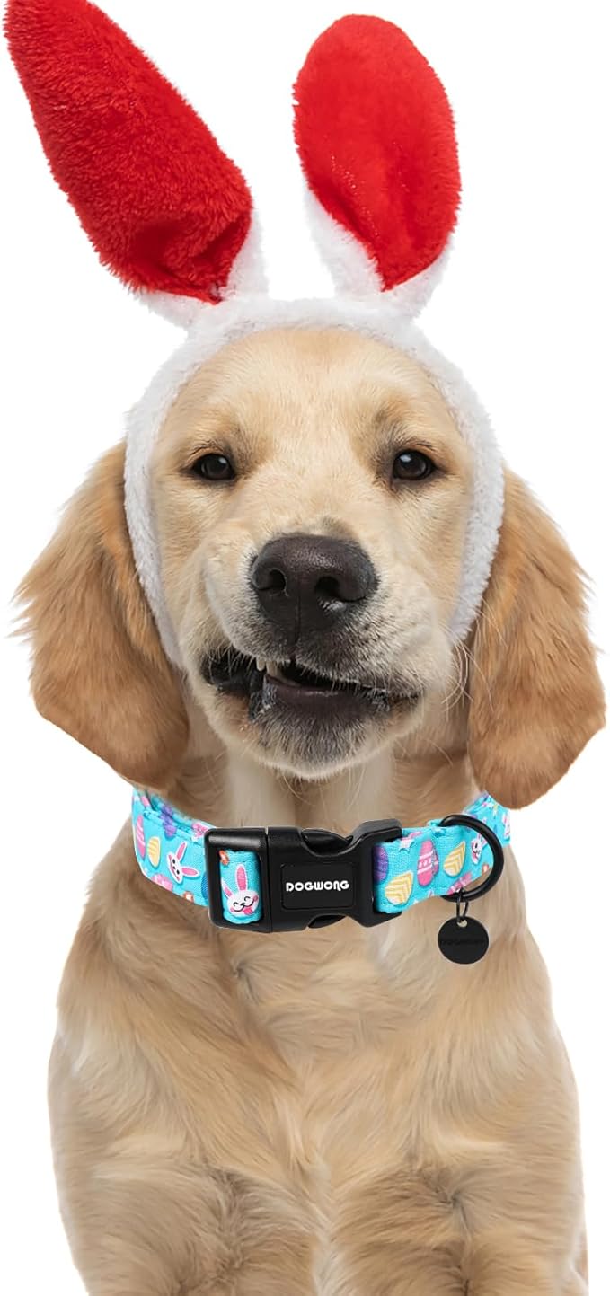 DOGWONG Easter Dog Collar, Colorful Egg Dog Collar Soft Durable Adjustable Costume Cute Easter Puppy Collar for Small Medium Large Dog
