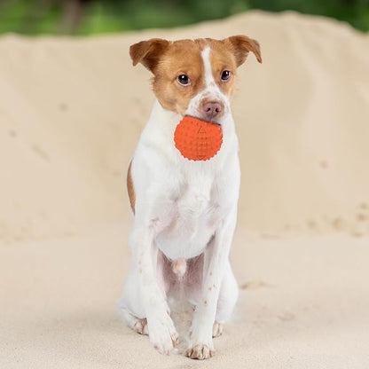 Best Pet Supplies Squeaky Rubber Spiky Ball Dog Toy Durable Non-Toxic Perfect for Aggressive Chewers Spiked for Dental Health Interactive Dog Toy - Pack of 2 - Blue, Orange (L:3.5")