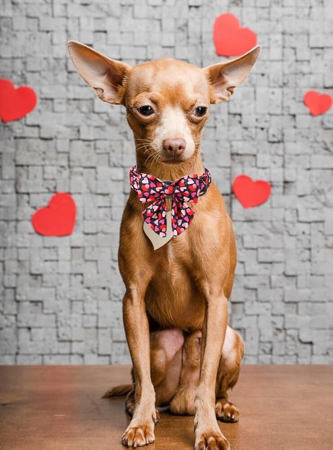 Unique Style Paws Valentine's Day Dog Collar with Bow Colorful Heart Love Dog Collars for Small Medium Large Dog New (S, Black Bowtie)