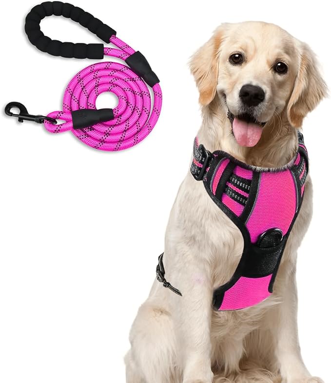 Dog Harness and Leash Duo, No Pull Vest Harness with 5 Ft Leash, Soft padded Vest, No-Choke Oxford Pet Harness, Easy Control Handle and Adjustable Pet Harness (Rose Red, Large)