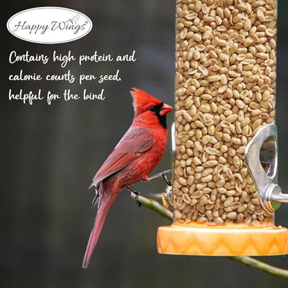 Shelled Peanuts Seeds Wild Bird Food - 5 Pounds I No Grow Seed I Bird Seed for Wild Birds